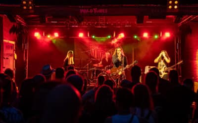 Wild Tunes Festival 2026 auf der Jahnwiese in Bamberg