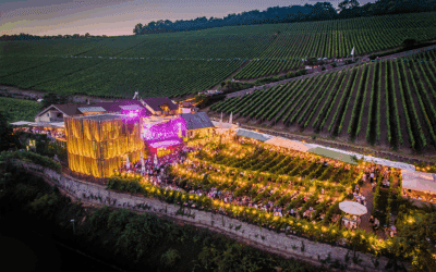 Save the Date: Wein am Stein 2027 in Würzburg