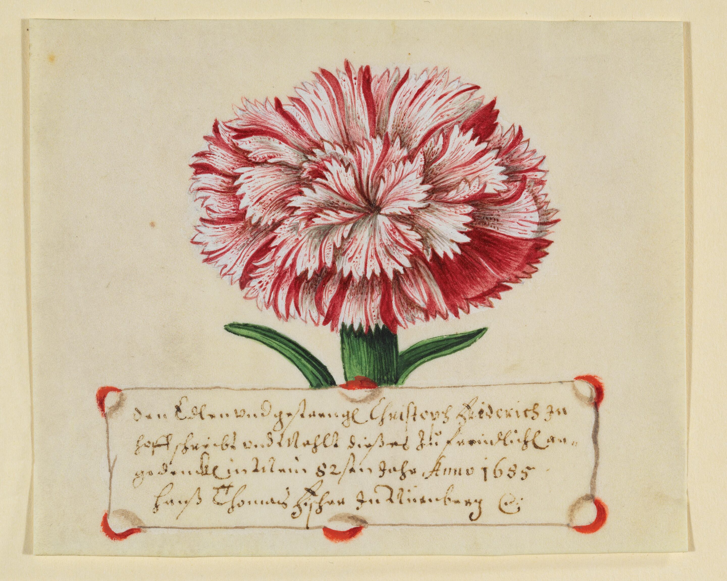 „zum freundlichen Angedenken“ – Die Staatsbibliothek Bamberg und ihre Freundschaftsalben