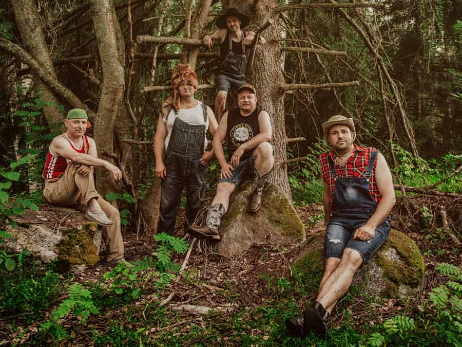 Steve'n'Seagulls