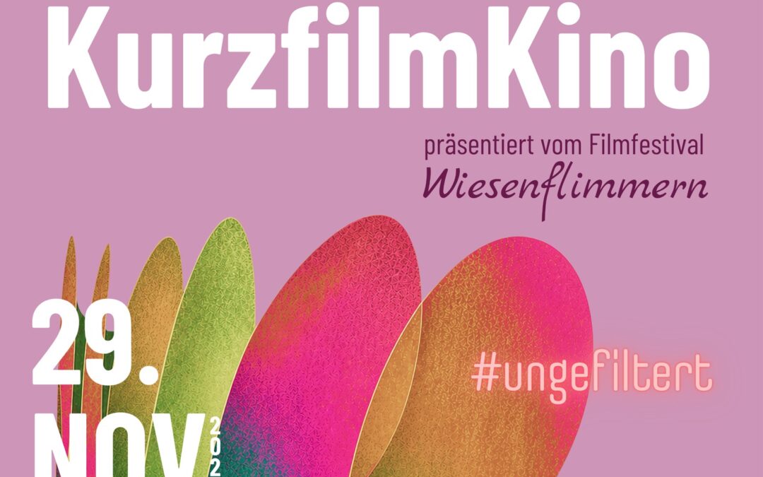 KurzfilmKino „Ungefiltert“: Filmfestival Wiesenflimmern zu Gast in der KUFA Bamberg